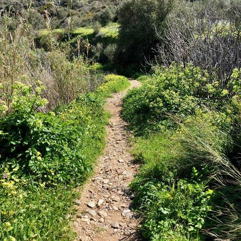 Chemin tranquille entre Tourlos et Lefkes