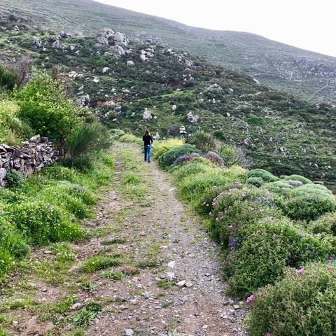 Cécile sur le chemin